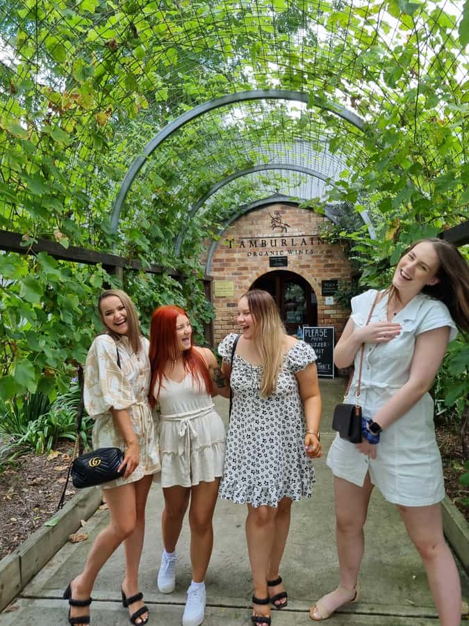 Newcastle: Hunter Valley Wine, Gin, Cheese & Chocolate Tour - Stop 1: Vineyards first—what the 30-minute guided tour adds