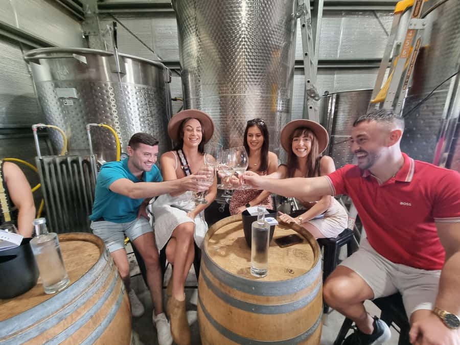Newcastle: Hunter Valley Wine, Gin, Cheese & Chocolate Tour - Spirits stop: gin and vodka tasting in the Hunter Valley style