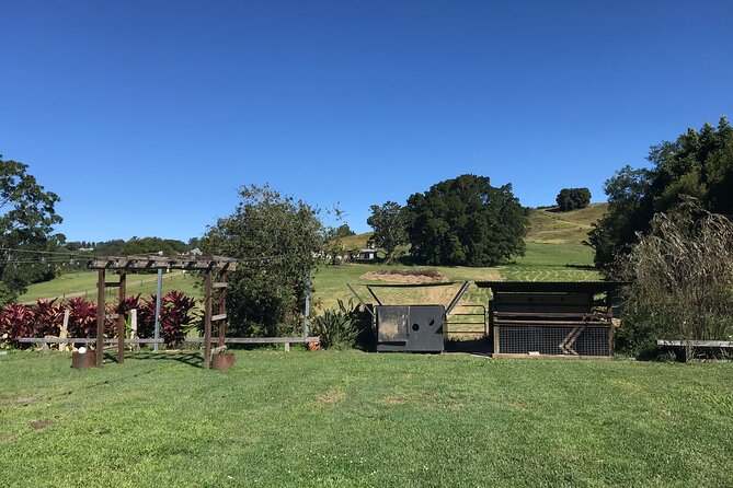 Noosa Hinterland Tour with Lunch, Wine & Cheese Tasting & more - Pomona for lunch: fresh produce, a local-favorite meal, and breathing room