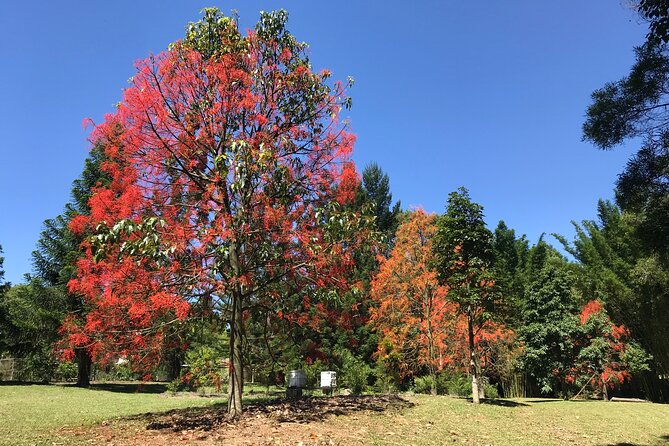 Noosa Hinterland Tour with Lunch, Wine & Cheese Tasting & more - Amrita Park Meadery: tasting mead with three generations behind it