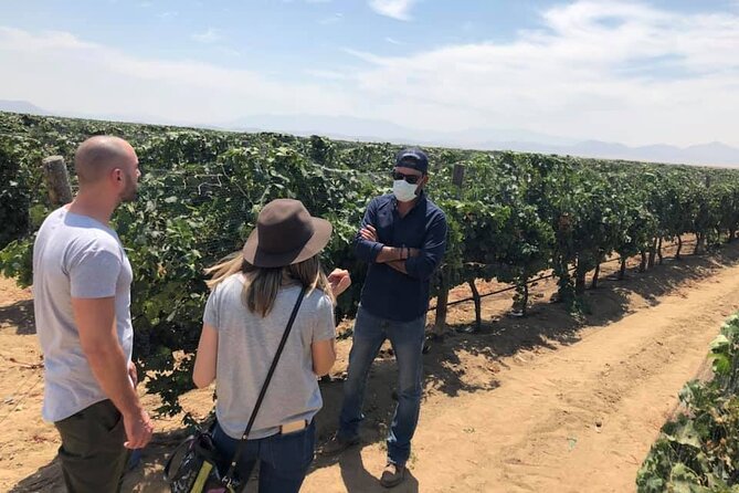 Ojos Negros Valley Wine and Cheese Route Tour in Baja California - The Downtown Ensenada Wine Bar: 230+ Baja Labels and Your Next Choices