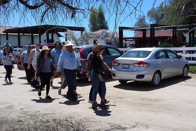 Ojos Negros Valley Wine and Cheese Route Tour in Baja California - What You Get for $149.36: Value That Adds Up