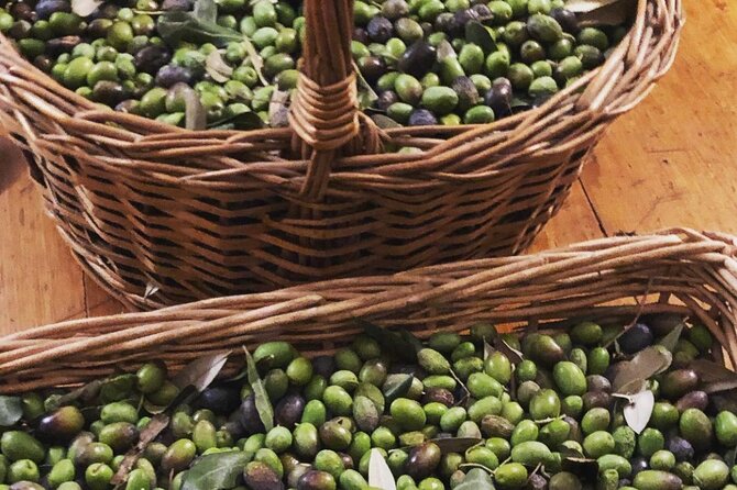 Olive Oil, Cheese, and Wine Tasting with Local Expert - Cheese and snacks: pairing that makes flavors click