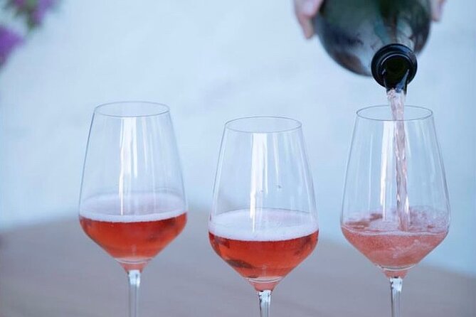 Olive Oil, Cheese, and Wine Tasting with Local Expert - Who should book (and who might skip)