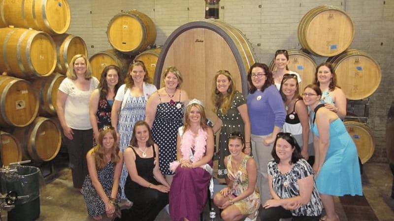 Ontario: Afternoon Wine Tour and Cheese Pairing - Niagara-on-the-Lake Wine in One Afternoon: How the 4-Hour Tour Feels