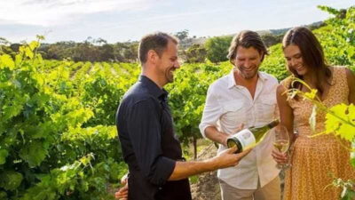 Ontario: Afternoon Wine Tour and Cheese Pairing - What You Taste: Three Wineries, Multiple Sips, and Ice Wine