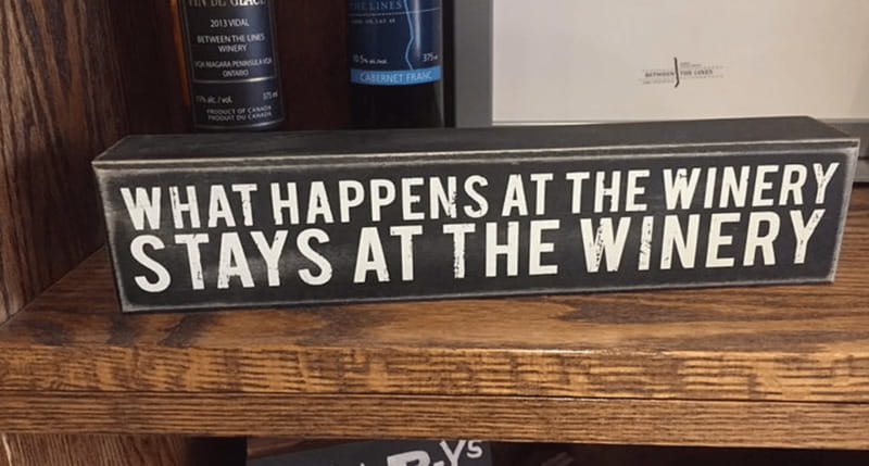 Ontario: Afternoon Wine Tour and Cheese Pairing - Pickup and Logistics: The Part People Skip Until It’s Too Late