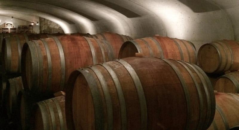 Ontario: Afternoon Wine Tour and Cheese Pairing - Who This Tour Fits Best (and Who Should Rethink It)