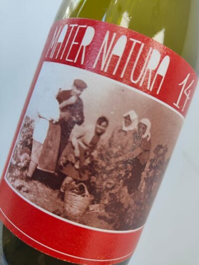 Orange & Natural Wines Of Greece with Cheese & Olive Oils - What the 60 minutes feels like from your chair
