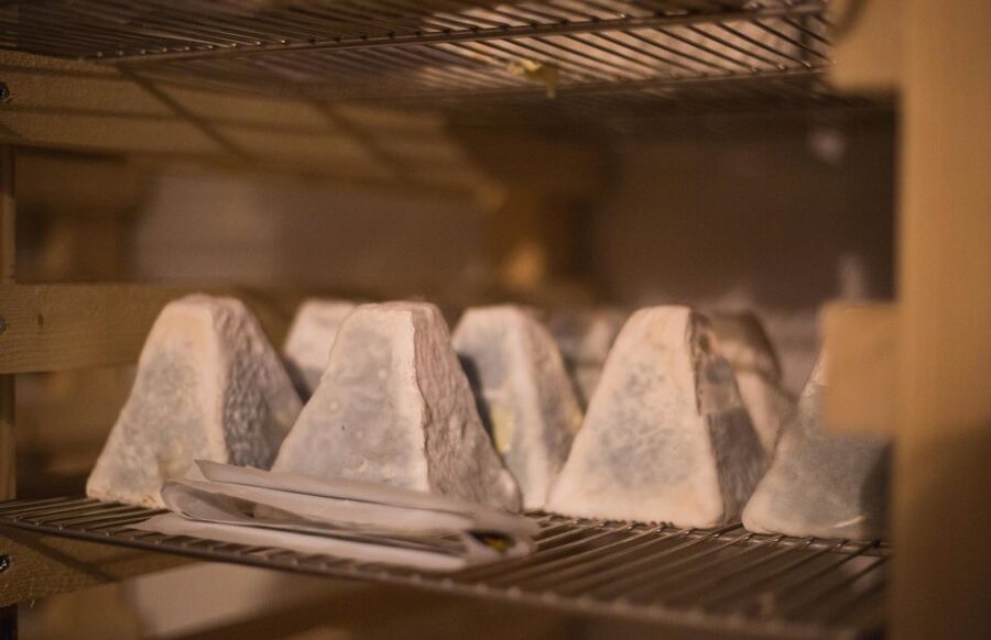 Paris: Cheese and Wine Class in a 17th Century Cellar - Key Points Worth Caring About