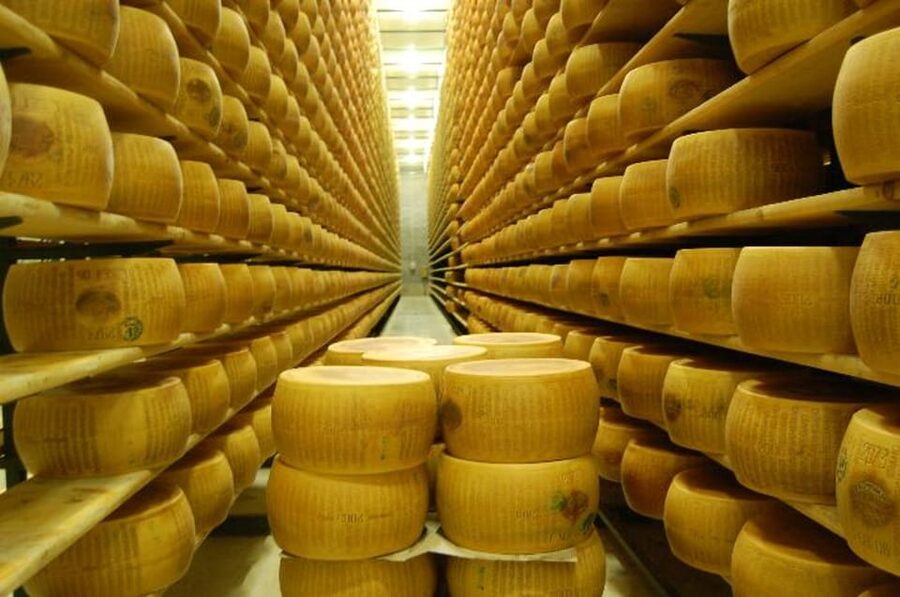 Parma: Cheese, Ham, & Balsamic Vinegar Tour with Tastings - Van time, pacing, and how to plan a full 6 to 6.5 hours