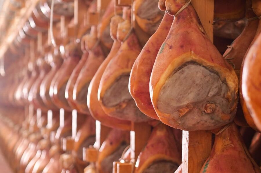 Parma: Cheese, Ham, & Balsamic Vinegar Tour with Tastings - Who this tour fits best (and who should skip it)