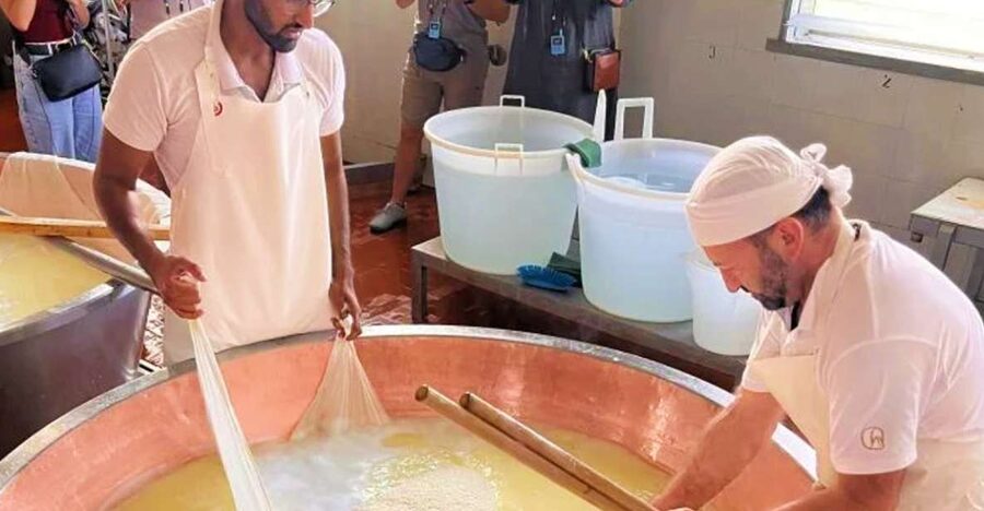 Parma: Traditional Cheese Factory Visit with Tasting - Inside the cheesemaking line: curds, whey, and the logic of the process