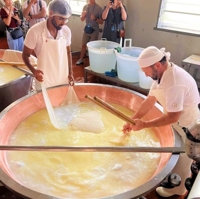 Parma: Traditional Cheese Factory Visit with Tasting - Price and value at about $82: what you get for your money