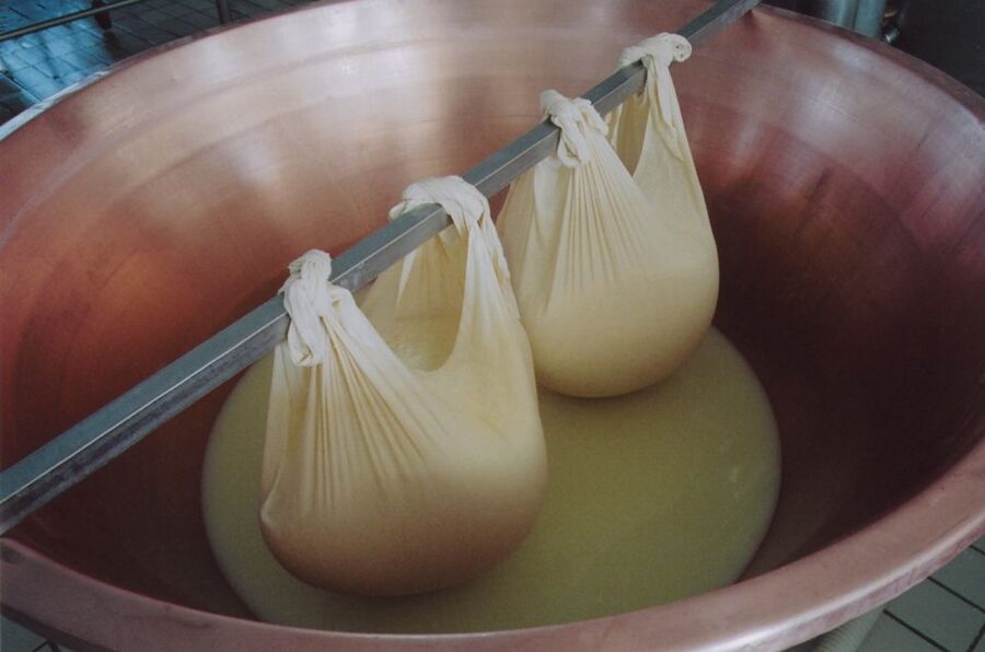 Parma: Traditional Cheese Factory Visit with Tasting - Who this tour fits best (and who might prefer something else)
