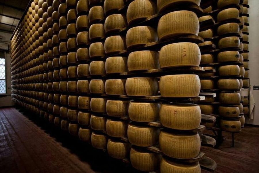 Parma: Traditional Cheese Factory Visit with Tasting - Tips to get the most out of the 2.5 hours