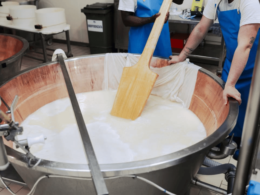 Parmesan Cheese Factory Tour & Tasting near Parma - Parmigiano Reggiano in Noceto: what $65 really buys