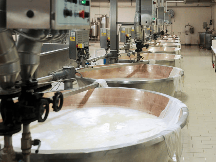 Parmesan Cheese Factory Tour & Tasting near Parma - Sustainability and animal welfare: what farming has to do with flavor