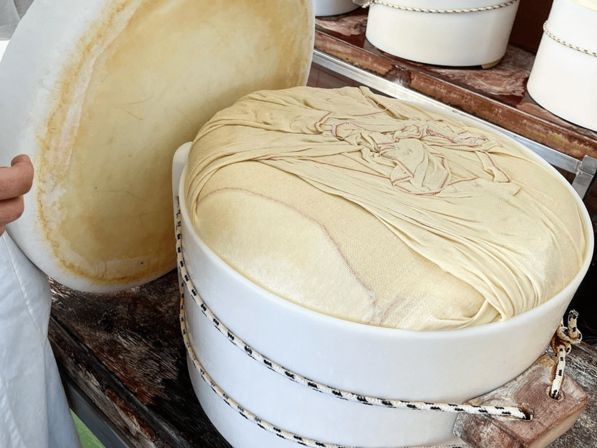 Parmesan Cheese Tour & Tasting in Modena - Tasting young to 36+ month Parmesan: what to look for