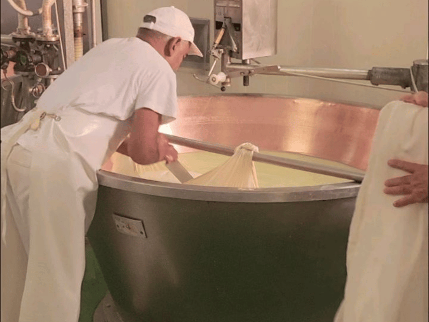 Parmesan Cheese Tour & Tasting in Modena - Practical logistics: meeting point, timing, and how to find it