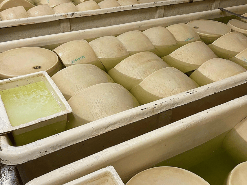 Parmesan Cheese Tour & Tasting in Modena - Should you book Parmesan Cheese Tour & Tasting in Modena?