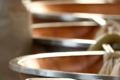 Parmigiano Cheese Factory Visit and Tasting - Inside the Dairy: Seeing Wheels Take Shape