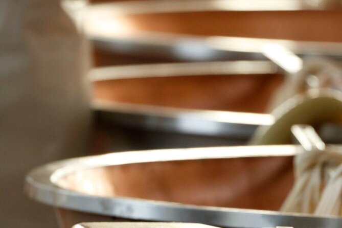 Parmigiano Cheese Factory Visit and Tasting - Inside the Dairy: Seeing Wheels Take Shape