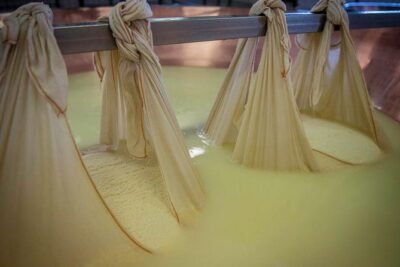 Parmigiano Reggiano Cheese Factory Tour & Tasting Experience - Factory access: barns, workshop, and the production mindset