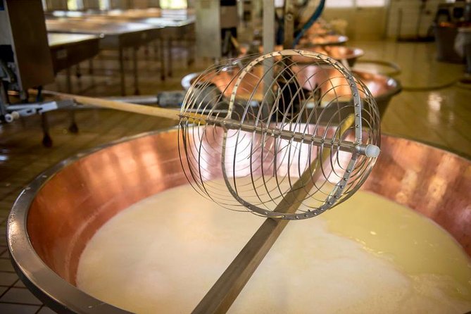 Parmigiano Reggiano Cheese Factory Tour & Tasting Experience - Seeing the farm side: cows, care, and the milk story
