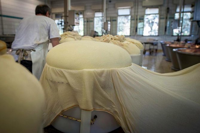 Parmigiano Reggiano Cheese Factory Tour & Tasting Experience - Price and logistics: what $249.92 buys you in real terms