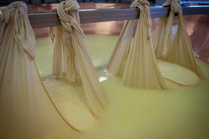 Parmigiano Reggiano Cheese Factory Tour & Tasting Experience - Factory access: barns, workshop, and the production mindset