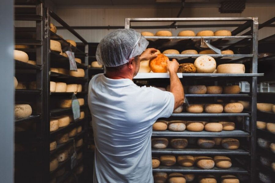 Pienza: Dairy Farm Tour with Pecorino Cheese Tasting - Pecorino in Pienza: Why the Taste Starts in the Hills