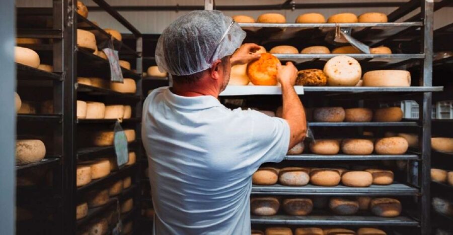 Pienza: Dairy Farm Tour with Pecorino Cheese Tasting - Step Inside a Working Dairy Farm (Not a Museum)