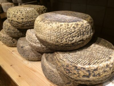 Pienza: Dairy Farm Tour with Pecorino Cheese Tasting - The Cheese Tasting That Actually Teaches You Something