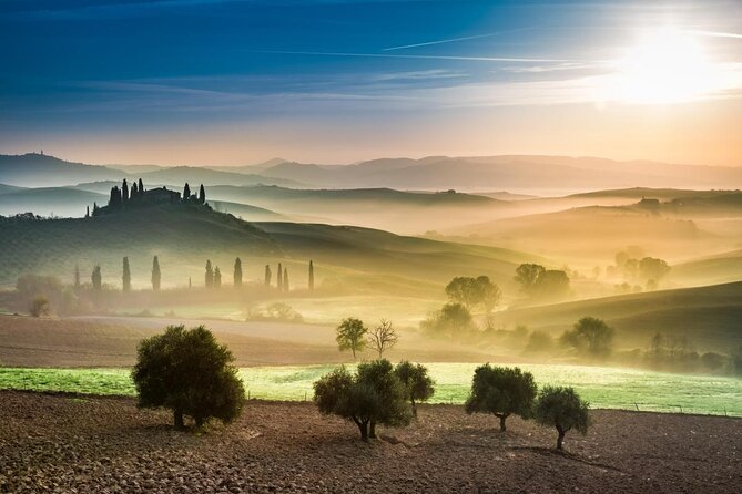 Pienza, Val d'Orcia, Montalcino wine and Pecorino cheese PRIVATE TOUR from SIENA - Key highlights worth planning for