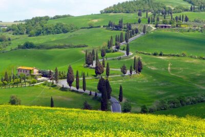 Pienza, Val d'Orcia, Montalcino wine and Pecorino cheese PRIVATE TOUR from SIENA - Passing by Montalcino town without the full rush