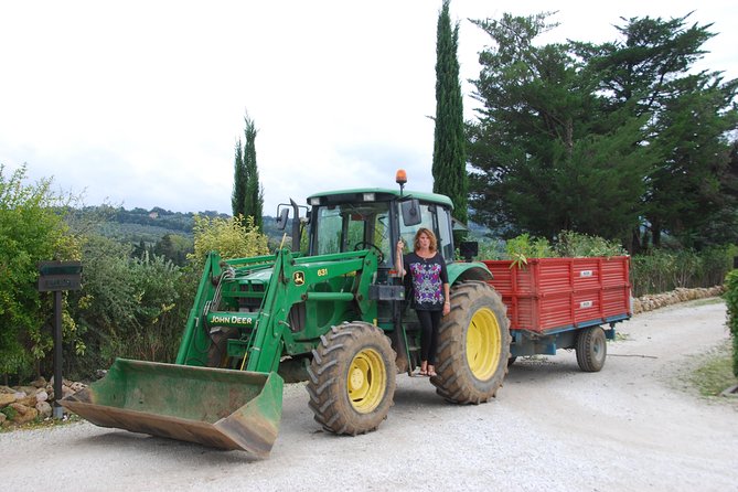Pienza, Val d'Orcia, Montalcino wine and Pecorino cheese PRIVATE TOUR from SIENA - Pecorino and local food flow: what you should expect to taste