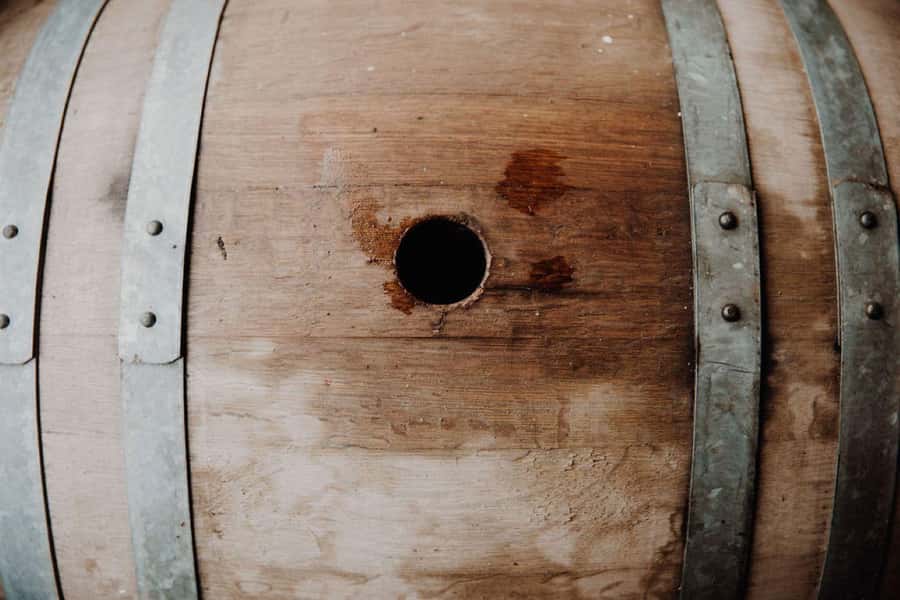 Pokolbin: Cheese and Barrel Wine Tasting at Audrey Wilkinson - How the Hour Usually Feels: Timing, Group Size, and Flow