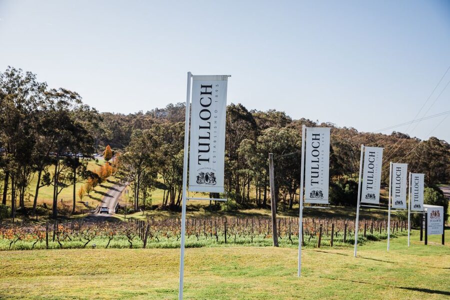 Pokolbin: Tulloch Hunter Heroes Wine Tasting & Cheese Board - Price and Value: Is $37 a Fair Deal for What You Get?