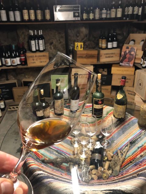 Porto: Cheese and Port Wine Tasting in a Unique Place - Key things that make this tasting worth your time