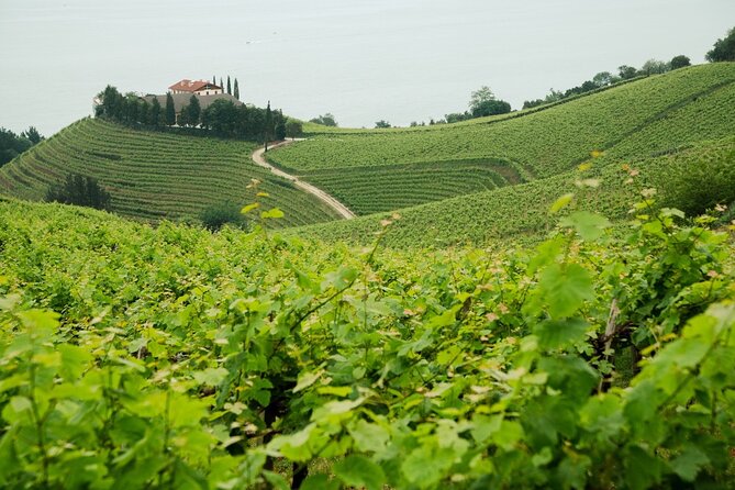 Private Basque Cheese & Txakoli Wine Tour from San Sebastian - Getaria Lunch and the Basque Coast Walk: Fish, Port, and Famous Names