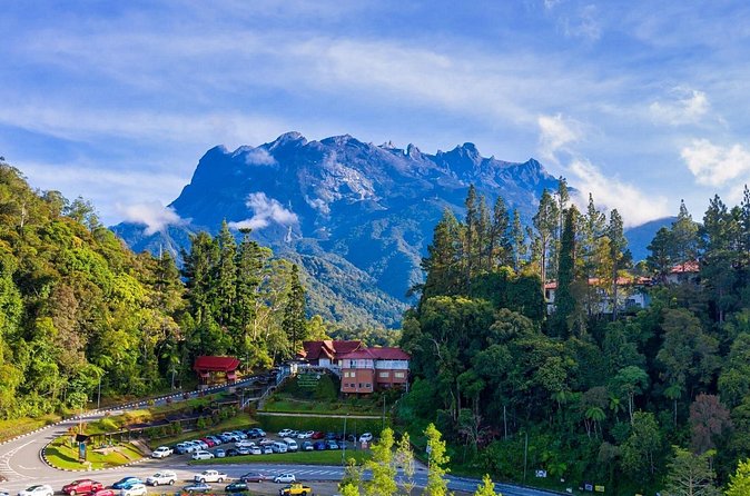 Private Desa Dairy Farm, Kinabalu National Park, Hot Spring & Canopy Walk Tour - Poring Hot Springs: Hot Water, Waterfall Time, and Gardens