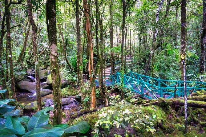 Private Desa Dairy Farm, Kinabalu National Park, Hot Spring & Canopy Walk Tour - Guide Skills, Photo Stops, and How the Day Feels