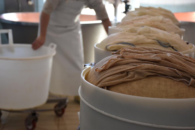 Private Full Day Parma Food Tour: Parmesan Cheese, Parma Ham, Lunch, Vinegar - How the 8-hour day feels in practice