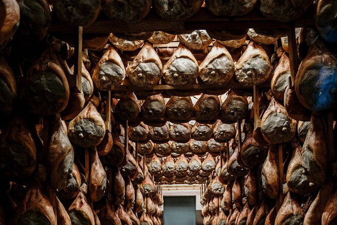 Private Full Day Parma Food Tour: Parmesan Cheese, Parma Ham, Lunch, Vinegar - Parma ham curing at the Consorzio: how time changes meat