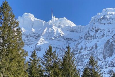 Private Guided Swiss Alps Day Trip from Zurich with Hotel Pick-Up - Appenzeller Schaukaserei: Cheese, Cellars, and a Tasting Moment