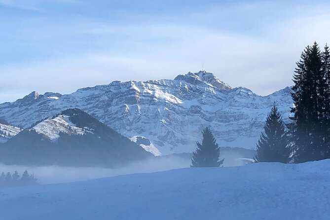 Private Guided Swiss Alps Day Trip from Zurich with Hotel Pick-Up - Schwägalp and the Climb to Säntis: Cable Car Views Done Right