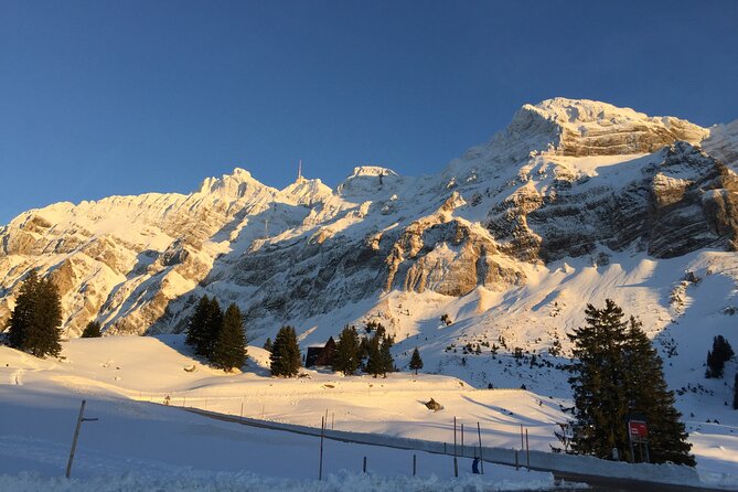 Private Guided Swiss Alps Day Trip from Zurich with Hotel Pick-Up - Price and Value: Is $369.13 per Person Reasonable?