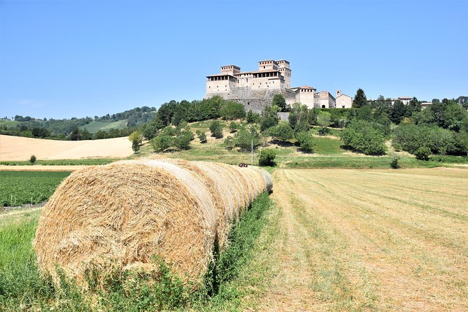 Private Half Day Parma Food Tour: Parmesan Cheese, Parma Ham, Lunch - Parmigiano-Reggiano Factory Visit: Aging, No Additives, and Tasting Stages