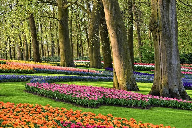 Private Keukenhof, Gardens, Windmills, cheese tour from Amsterdam - Key things I’d plan around